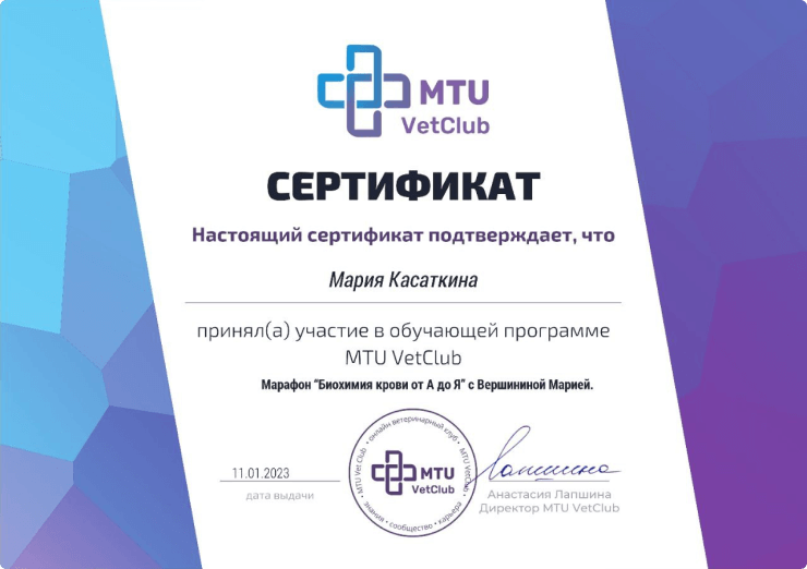 photo_2023-10-15 17.453 1