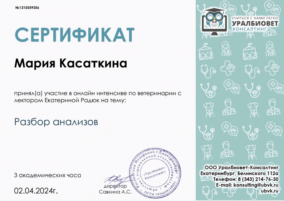 Screenshot_20240402_153708_Cloud Mailru