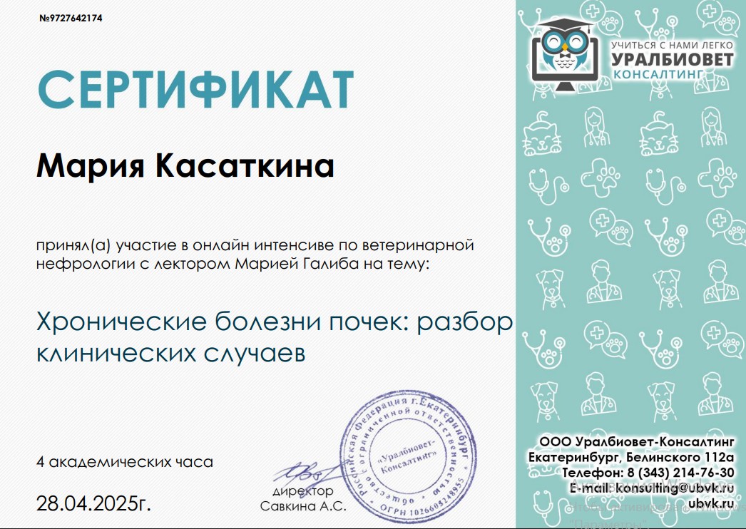 Снимок экрана 2025-07-14 133338